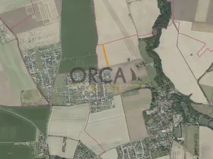 Prodej pole, Sluštice, 4969 m2