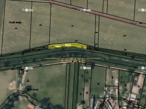 Prodej lesa, Bezměrov, 1621 m2