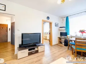 Prodej bytu 2+1, Hradec Králové, Pod Zámečkem, 60 m2