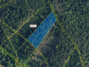 Dražba lesa, Jílové u Držkova, 3439 m2