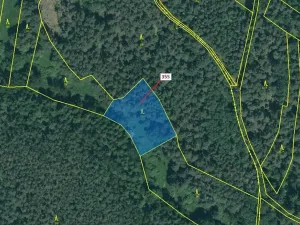 Dražba lesa, Jesenice, 1924 m2