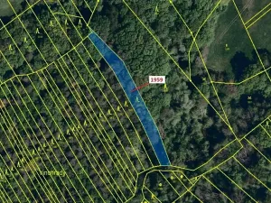 Dražba lesa, Kelníky, 1160 m2