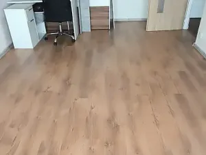 Pronájem bytu 1+1, Ostrava, Srbská, 40 m2