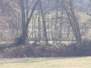 Prodej podílu louky, Podluhy, 1240 m2