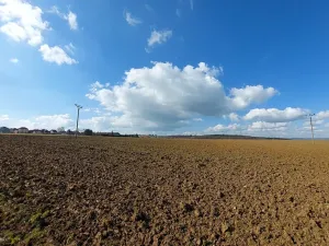 Prodej podílu pole, Podluhy, 12741 m2