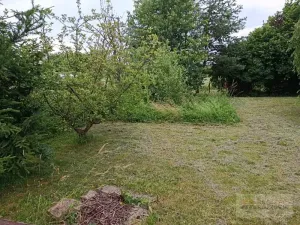 Prodej zahrady, Broumov, 285 m2