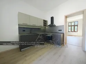 Pronájem bytu 1+1, České Budějovice, Fráni Šrámka, 40 m2