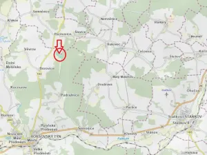 Prodej podílu lesa, Horšovský Týn, 4280 m2