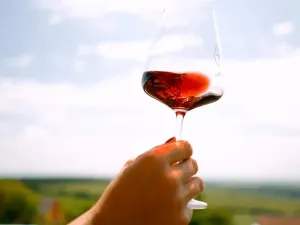 Prodej pozemku pro bydlení, Vrbice, 906 m2