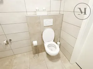 Pronájem bytu 1+kk, České Budějovice, Družstevní, 30 m2