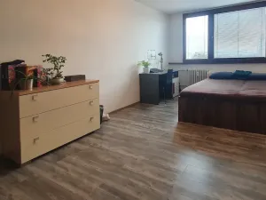 Prodej bytu 3+1, Mladá Boleslav - Mladá Boleslav II, Na Radouči, 84 m2