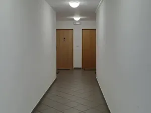 Pronájem bytu 1+kk, Praha - Strašnice, Názovská, 39 m2