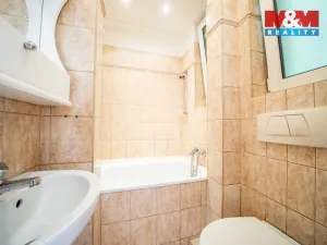 Prodej bytu 2+kk, Praha - Žižkov, Viklefova, 53 m2