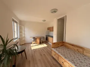 Pronájem bytu 1+kk, Mladá Boleslav - Mladá Boleslav II, Čechova, 26 m2