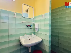 Pronájem ubytování, Vysoké nad Jizerou, Lyžařská, 563 m2