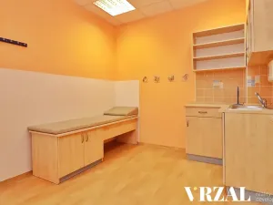 Pronájem ordinace, Plzeň, Francouzská třída, 80 m2