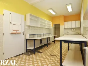 Pronájem ordinace, Plzeň, Francouzská třída, 80 m2