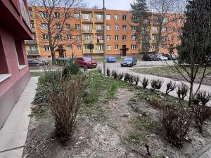 Pronájem bytu 1+kk, Ostrava - Hrabůvka, Krakovská, 21 m2