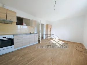 Pronájem atypického bytu, České Budějovice, 44 m2