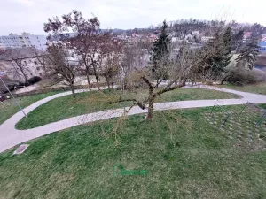 Prodej bytu 2+1, Beroun, Branislavova, 63 m2