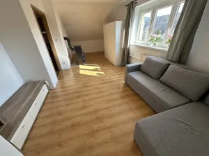 Pronájem bytu 1+1, Velké Hamry, 41 m2