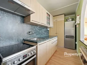 Prodej bytu 4+kk, Litoměřice - Předměstí, Družstevní, 64 m2