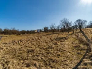 Prodej pozemku, Lípa, 2603 m2