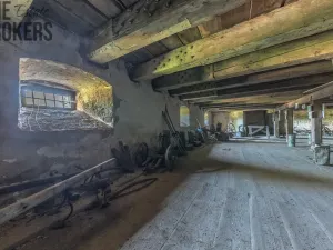 Prodej komerční, Buzice, 1800 m2