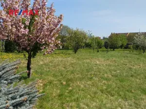 Prodej pozemku pro bydlení, Mikulovice, 1350 m2