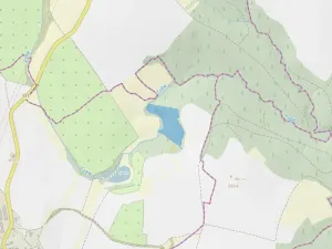 Prodej lesa, Rohozec, 20988 m2