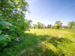 Prodej pozemku pro bydlení, Bučovice, 3623 m2