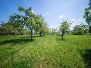 Prodej pozemku pro bydlení, Bučovice, Náhorní, 7851 m2