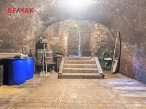 Prodej vinného sklepa, Brod nad Dyjí, 70 m2