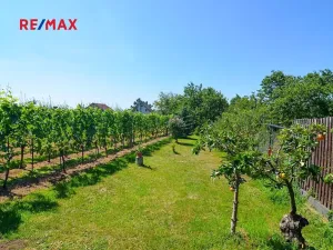 Prodej zahrady, Mikulov, 997 m2