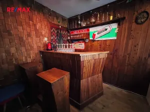 Prodej vinného sklepa, Kyjov, 60 m2