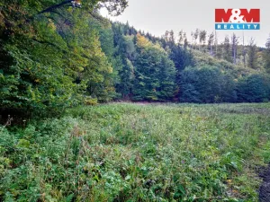 Prodej louky, Biskupice - Zálesí, 2421 m2