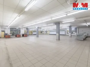 Prodej obchodního prostoru, Frýdek-Místek - Frýdek, Dobrovského, 1150 m2
