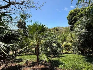 Prodej pozemku, Coxen Hole, Roatán, Honduras, 1902 m2