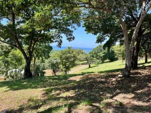 Prodej pozemku, Coxen Hole, Roatán, Honduras, 683 m2