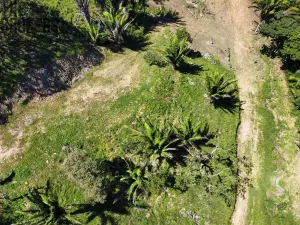 Prodej pozemku, Coxen Hole, Roatán, Honduras, 400 m2