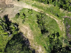 Prodej pozemku, Coxen Hole, Roatán, Honduras, 400 m2