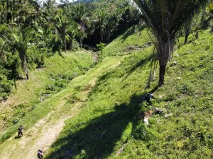 Prodej pozemku, Coxen Hole, Roatán, Honduras, 400 m2