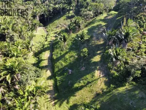 Prodej pozemku, Coxen Hole, Roatán, Honduras, 300 m2