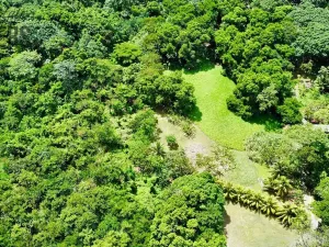 Prodej pozemku, Coxen Hole, Roatán, Honduras, 2090 m2