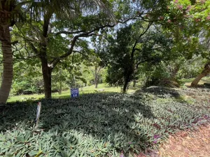 Prodej pozemku, Coxen Hole, Roatán, Honduras, 1872 m2