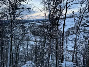 Prodej lesa, Dolní Bousov, 59634 m2