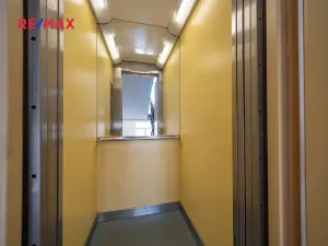 Prodej bytu 3+1, Praha - Žižkov, Buchovcova, 61 m2