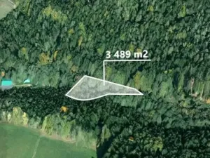 Prodej podílu pole, Těchonín, 538 m2