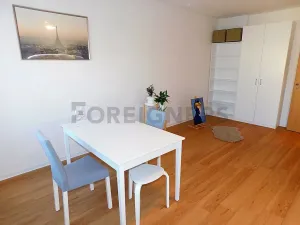 Pronájem bytu 2+kk, Plzeň, Hřímalého, 75 m2