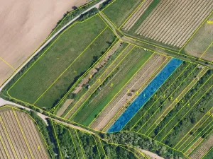 Prodej sadu/vinice, Nikolčice, 2568 m2